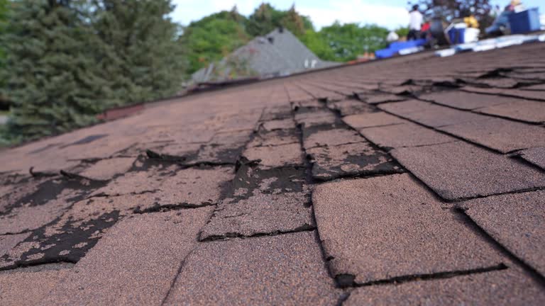 Best Roof Insulation Installation  in Long Branch, VA