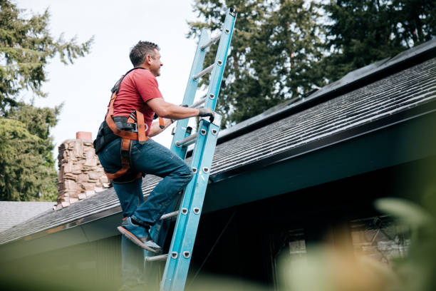 Best Rubber Roofing (EPDM, TPO)  in Long Branch, VA