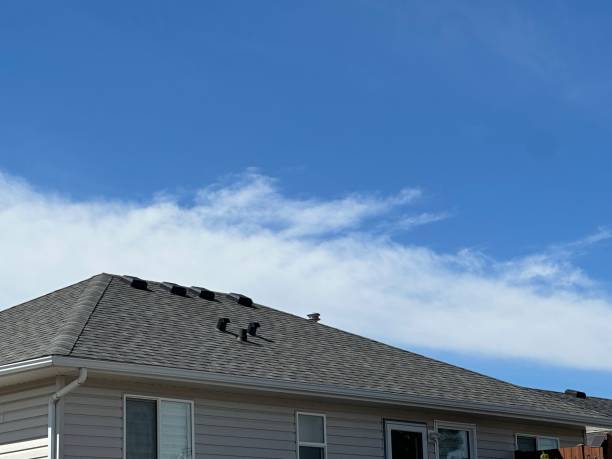 Best Emergency Roof Repair Services  in Long Branch, VA